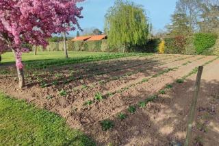 Vacance à la campagne - 6