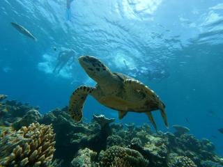 Athens View Hotel - Guraidhoo - 3