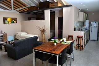 Vistas Andinas Casa tipo Loft - Ciudad Lujan de Cuyo - 8
