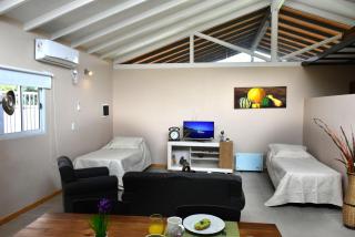 Vistas Andinas Casa tipo Loft - Ciudad Lujan de Cuyo - 9
