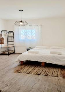 bloom - Eilat - 9