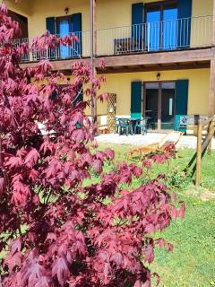 Casale del Valla Agri B&B Naturista - Spigno Monferrato - 1