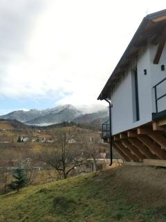Cozy Cabin Bran - Bran - 2