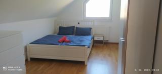 Villa FRIDA - Rogaška Slatina - 4