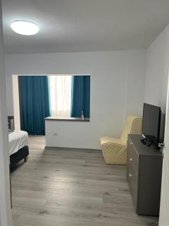 SMP LIPOVEI - Timişoara - 9