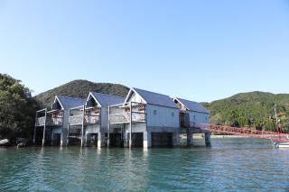 Tennenonsen Amuri - Amakusa - 1