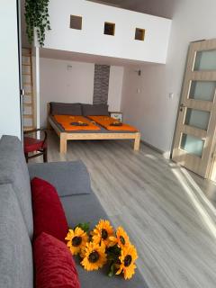 Sunflowers Apartman - Budapest - 8