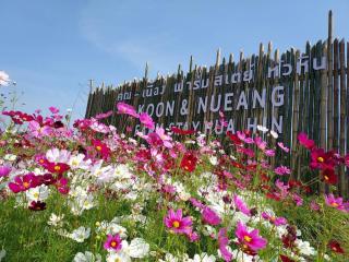 คูณ-เนื่อง ฟาร์ม สเตย์ หัวหิน Koon & Nueang Farm Stay Hua Hin - Ban Bo Fai - 0