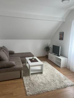 Apartman Biki - 8