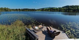 Studio Apartment Erlengrund - Bad Kohlgrub - 1