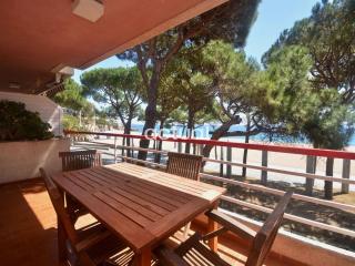 TAMARIUS 1-4 - Platja d'Aro - 0