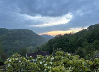Carrow Cottage - 3