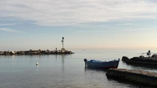 Il Platano di Nathaly - Bari - 3