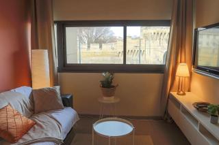 Le Saint Roch 1 - AC CLIM - WIFI - 50m Centre ville - Avignone - 1