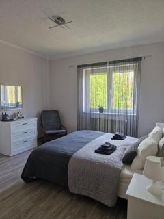 White House Apartman Budapest - Budapest - 8
