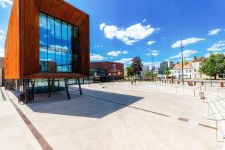 Calme & Chic vert - Proche gare et centre - Dijon - 1