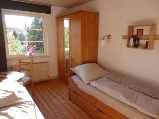 Ferienwohnung zum Riesenlöffel - Arnstadt - 1