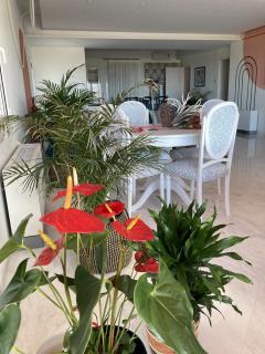 Eleni Residence by the sea - 5