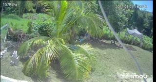My Little Cabin In Negril, cabin - Negril - 1