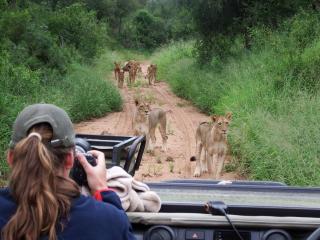 NDZUTI BUSH CAMP - Grietjie Nature Reserve - 0