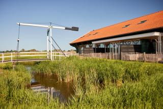 Dutchen Erfgoedpark De Hoop Vakantiewoningen - Uitgeest - 0