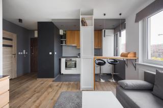 Arte Praga Koneser Apartment - Varsavia - 3