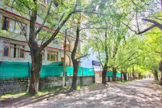 Thrill Nature Cottage - Manali - 7