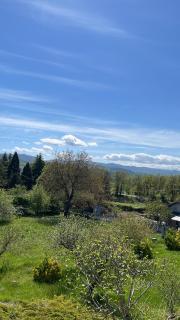 Casa T Bed and Breakfast & Home Restaurant di Tacchino Simone - Tagliolo Monferrato - 0
