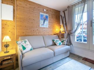 Studio cosy skis aux pieds, terrasse, proche village, animaux admis - FR-1-694-93 - 4