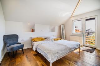 Mountain View Apartment with Sauna - Cerklje na Gorenjskem - 6