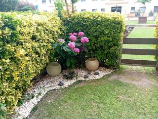Apartamento en primera linea de Mar - Roses - 4