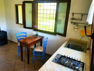 Villa Oliva - Canino - 3