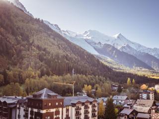 Appartement rénové avec parking et wifi à Chamonix - FR-1-343-208 - Chamonix-Mont-Blanc - 7