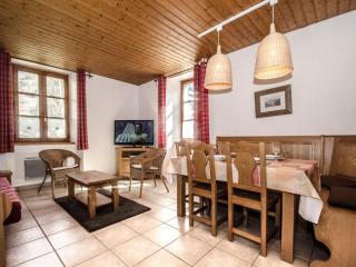 Appartement central à Chamonix avec WiFi et animaux acceptés - FR-1-343-216 - Chamonix-Mont-Blanc - 3