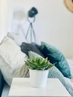Le Studio - La Grande-Motte - 6