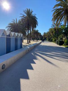 Côtéplage - Le Lavandou - 7