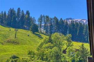 Apartment Melanie - by Alpen Apartments - Zell am See - 4