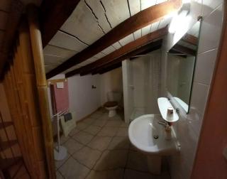 Cèdres Bleus de Joany chez Nathalie - 3