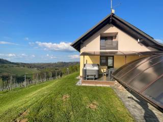 Liveza House - Miklavž pri Ormožu - 6