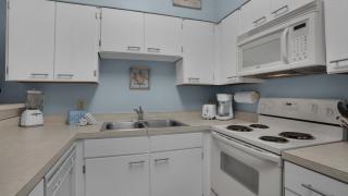 Palms B5 - 1