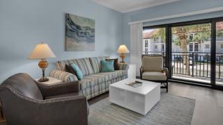 Palms B5 - 5