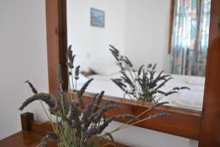 Antigoni Apartments 'Lavender Room' - Milatos - 9