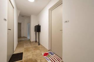 Hawaï wifi Hypercentre arènes - 5