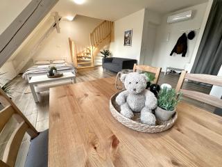 Apartmány Monastery Suites Žireč - Dvůr Králové nad Labem - 8
