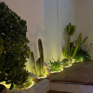 Terra Aloé - Torremolinos - 5