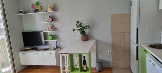 Naki apartmani - Podgorica - 1