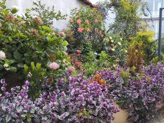 Apto Nuevo, Tranquilo,Bonito,5 min Plaza Principal - Guatapé - 8