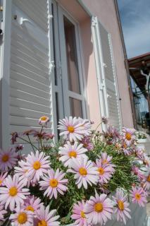 Appartamenti Celestina Portoferraio - 7