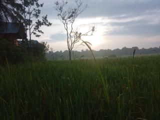 Sigiriya Paddy Field Hut - Sigiriya - 5