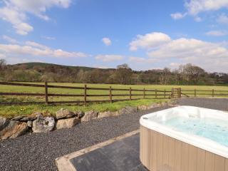 Beudy Bach Barn - Llanuwchllyn - 0